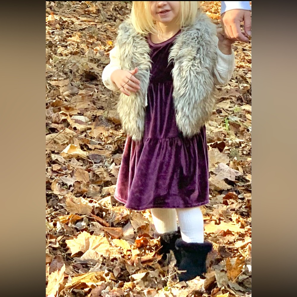 Velvet Toddler Dress